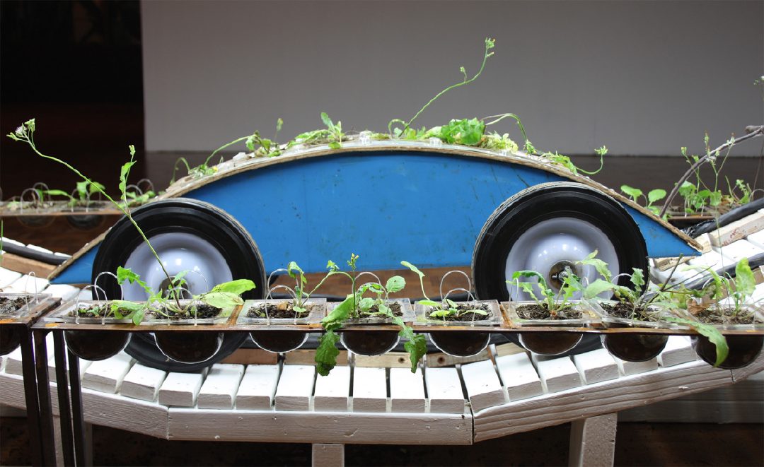 Coaster Car Garden