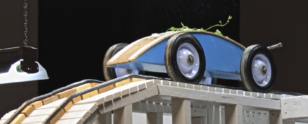 Coaster Car, Potential State