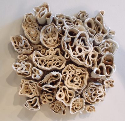 The Barnacle Iterations